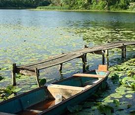 Sisak - Lonjsko polje - Čigoč