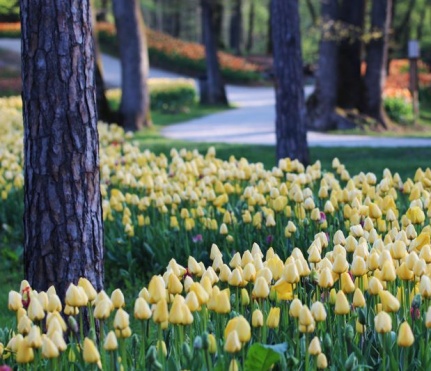 ARBORETUM VOLČJI POTOK I LJUBLJANA