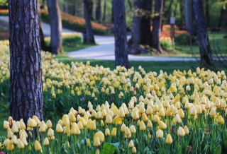 ARBORETUM VOLČJI POTOK I LJUBLJANA